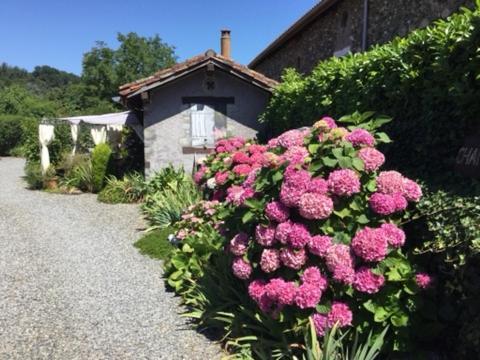Bed and Breakfast Loft Atypique Villeneuve-de-Rivière Exterior foto
